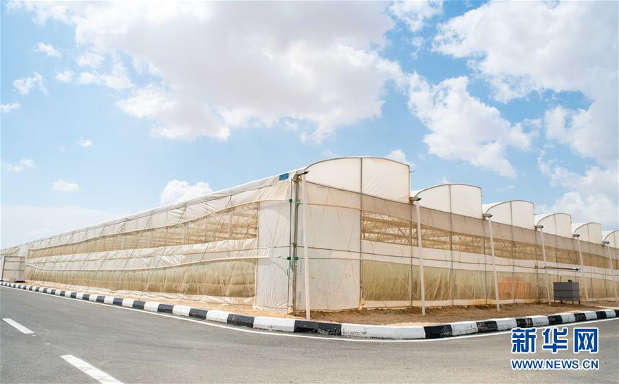 (国际·“一带一路”高峰论坛·图文互动)(1)荒漠正在成为瓜果飘香的绿洲——记中国国机重工埃及现代农业温室项目