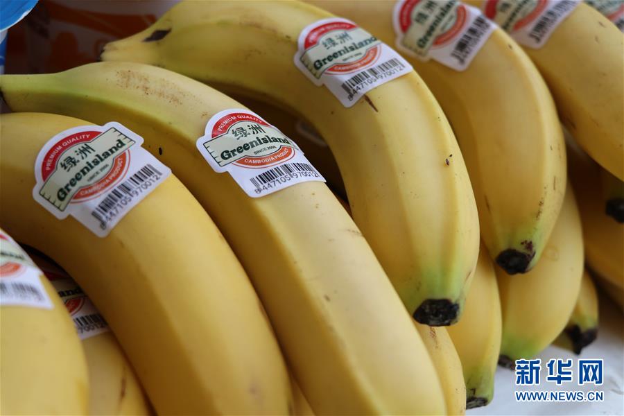 （国际）（2）柬埔寨水果首次直接出口中国