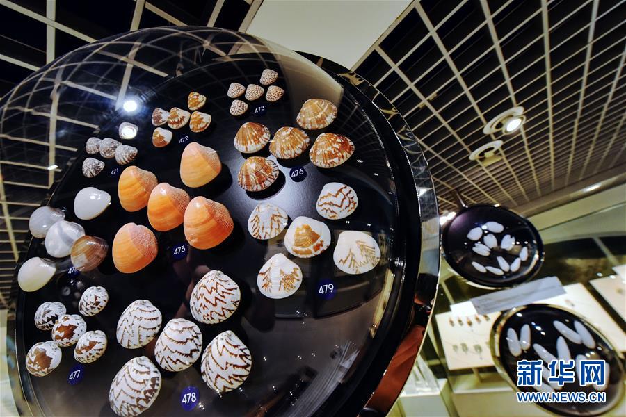 （国际&middot;编辑连线）（21）国际博物馆日：世界名馆及特色主题馆一览