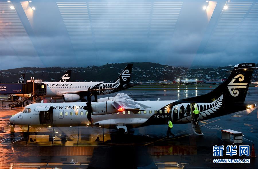 （国际）（2）新西兰航空公司一架客机被闪电击中后返航