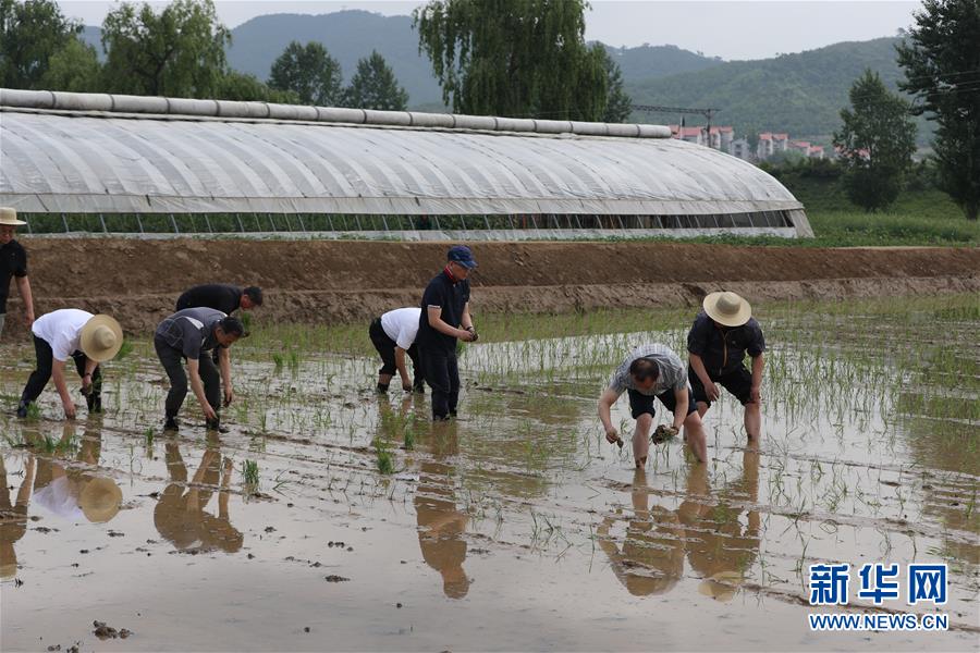 （國際·圖文互動）（6）通訊：建設社會主義新農村是朝鮮黨和農民的共同願望——朝中友好宅庵合作農場訪問記