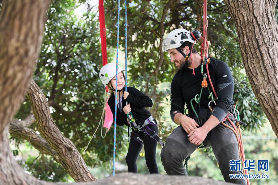 （國際）（1）新西蘭：兒童周末爬樹體驗 
