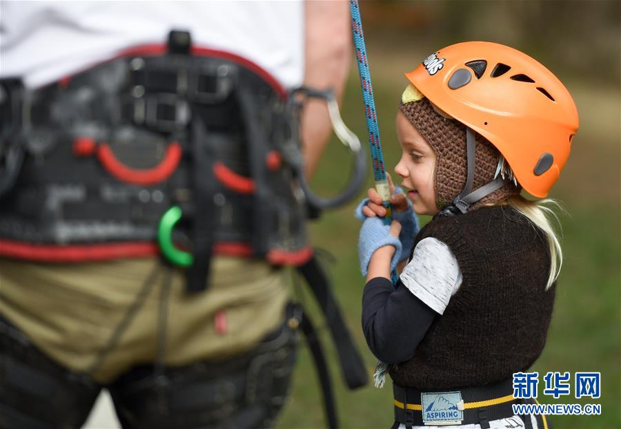 （国际）（2）新西兰：儿童周末爬树体验 