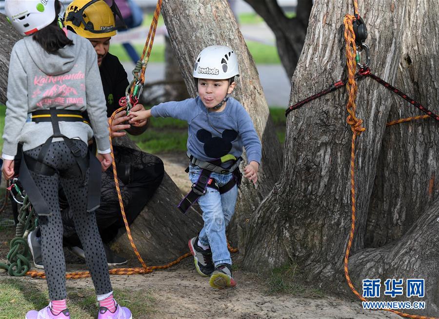 （國際）（3）新西蘭：兒童周末爬樹體驗 