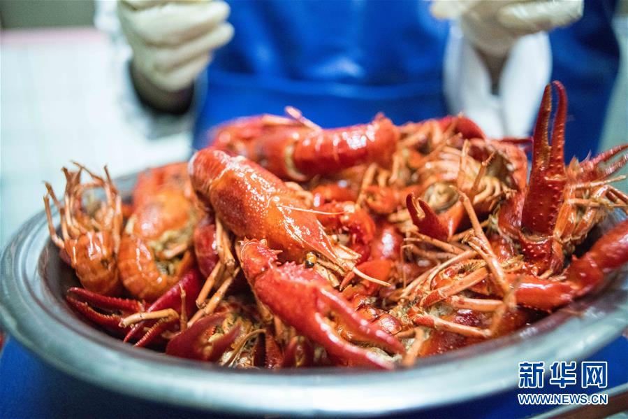 (国际·图文互动)(1)从尼罗河畔到中国餐桌——一只“洋”小龙虾的36小时旅程