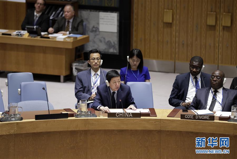 （XHDW）中国代表呼吁坚持“两国方案”解决巴以问题