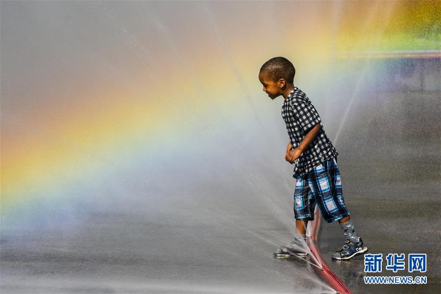 （国际）（1）维也纳遭遇高温天气