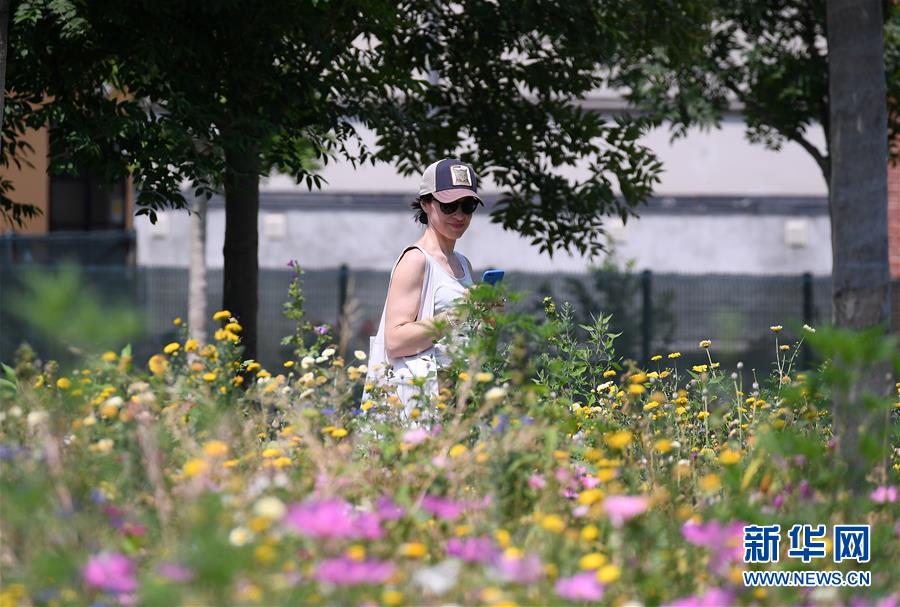 （国际）（4）意大利16个城市拉响高温警报