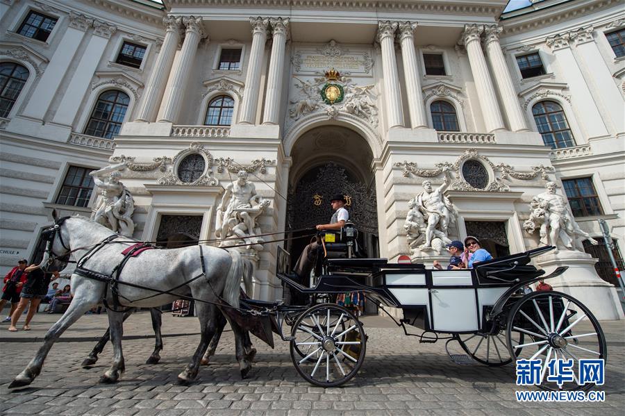 （国际）（1）夏日维也纳游客如织