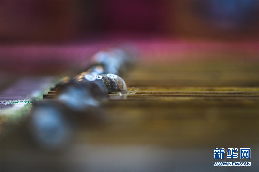 （新华视界）（4）蜗牛赛跑锦标赛