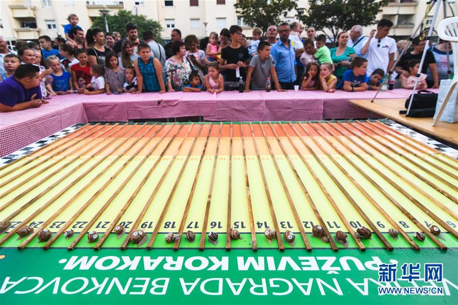 （新华视界）（5）蜗牛赛跑锦标赛
