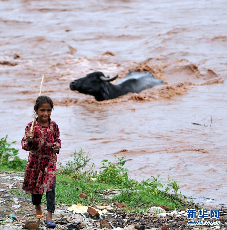 （国际）（1）洪水泛滥达维河