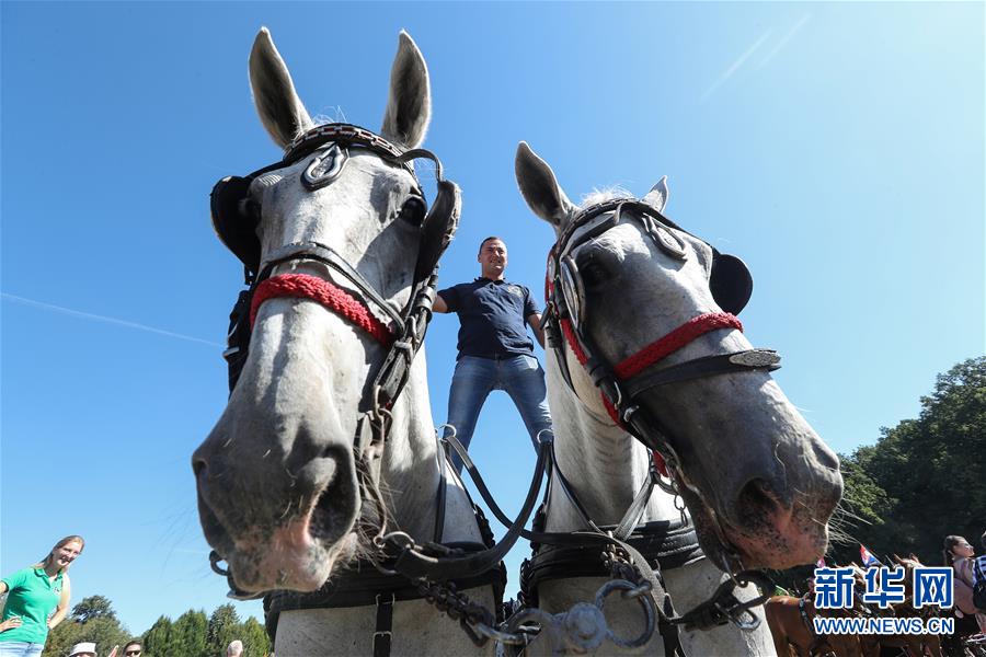 （国际&middot;一周看天下）马车游行