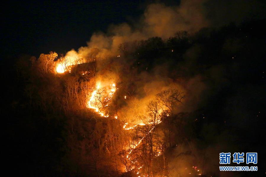 （国际&middot;一周看天下）森林火灾