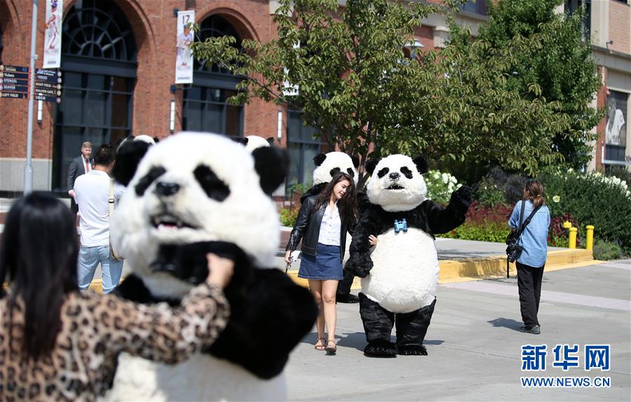 （国际）（2）中国花灯将登陆纽约花旗球场 点亮纽约新年