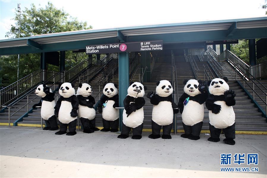 （国际）（6）中国花灯将登陆纽约花旗球场 点亮纽约新年