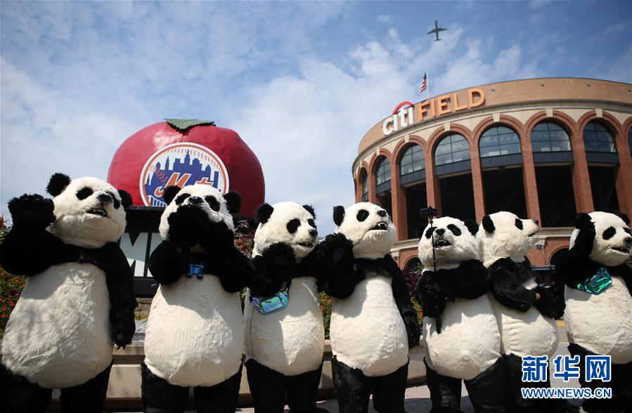 （国际）（4）中国花灯将登陆纽约花旗球场 点亮纽约新年