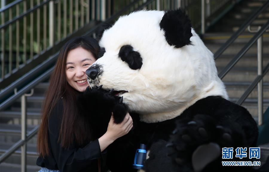 （国际）（3）中国花灯将登陆纽约花旗球场 点亮纽约新年