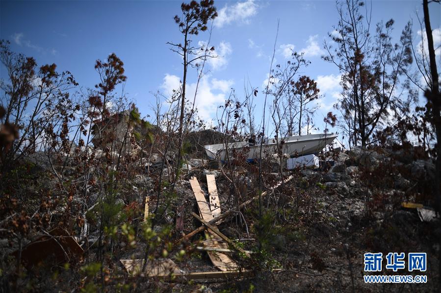 （国际·图文互动）（4）“我的乐园一夜之间坍塌了”——一名巴哈马灾民回忆“多里安”飓风