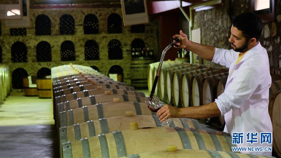 （国际&middot;图文互动）（3）通讯：摩洛哥酒庄希望借助进博会在中国打造品牌形象