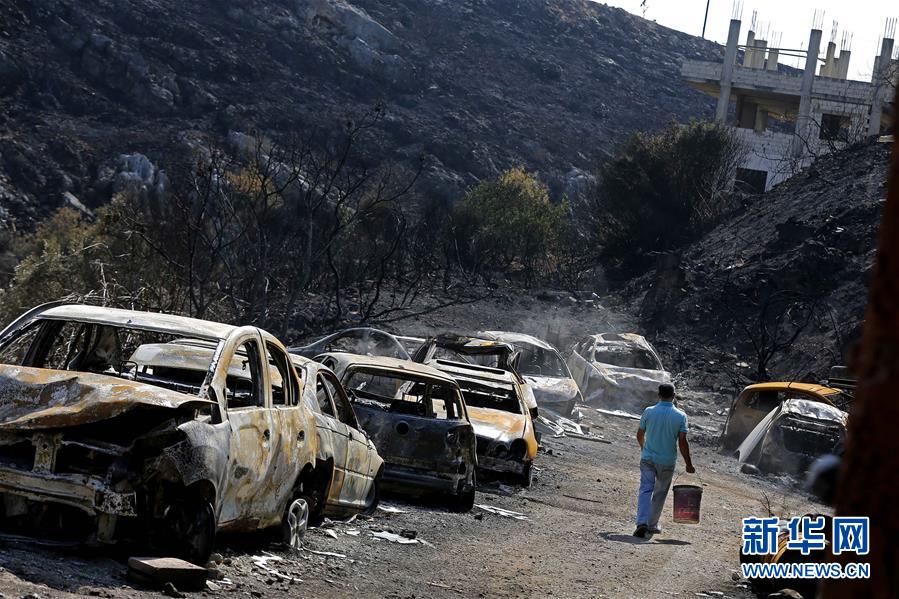 （國際）（3）黎巴嫩：山林大火過後
