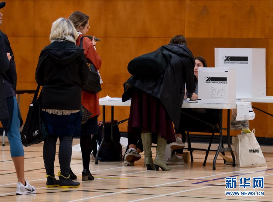 （国际）（4）加拿大举行联邦众议院选举