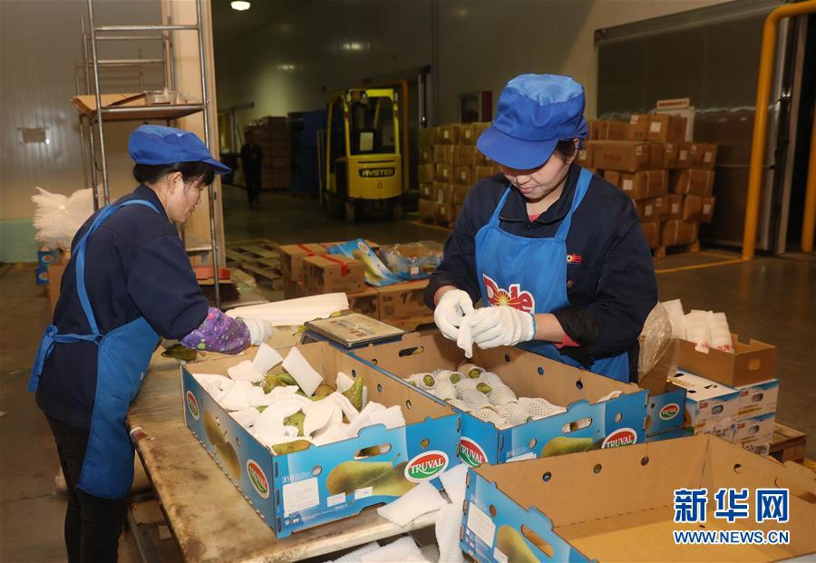 （社会）（1）走进第二届进博会参展企业