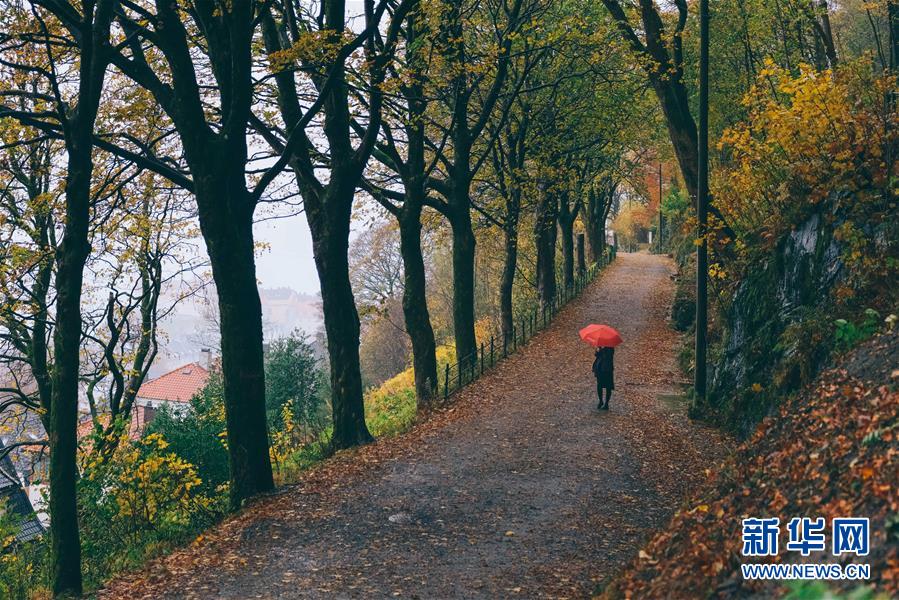 （国际）（1）挪威秋色