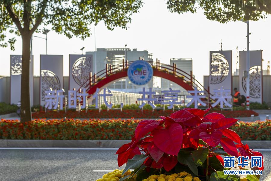 （第二届进博会）（4）鲜花装点进博会