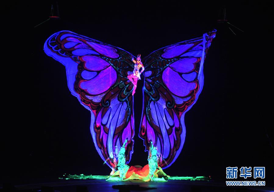 （文化）（4）国际杂技艺术沧州展演惠民众