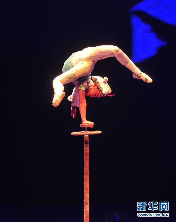 （文化）（7）国际杂技艺术沧州展演惠民众