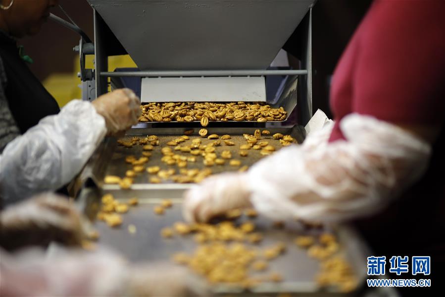 (国际·图文互动)(8)通讯:期待美中尽早达成贸易协议——飓风和关税夹击下的美国山核桃种植户盼重回中国市场