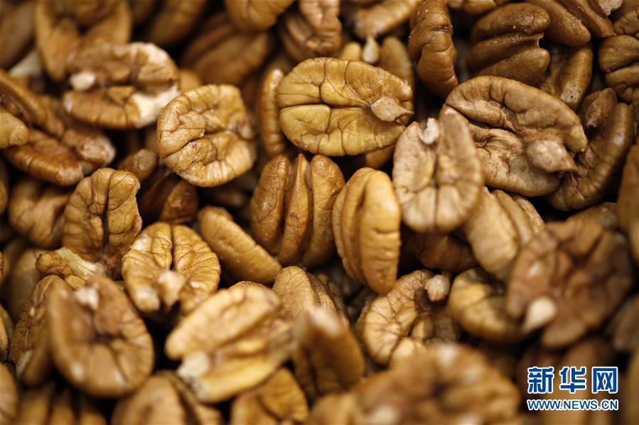 (国际·图文互动)(9)通讯:期待美中尽早达成贸易协议——飓风和关税夹击下的美国山核桃种植户盼重回中国市场
