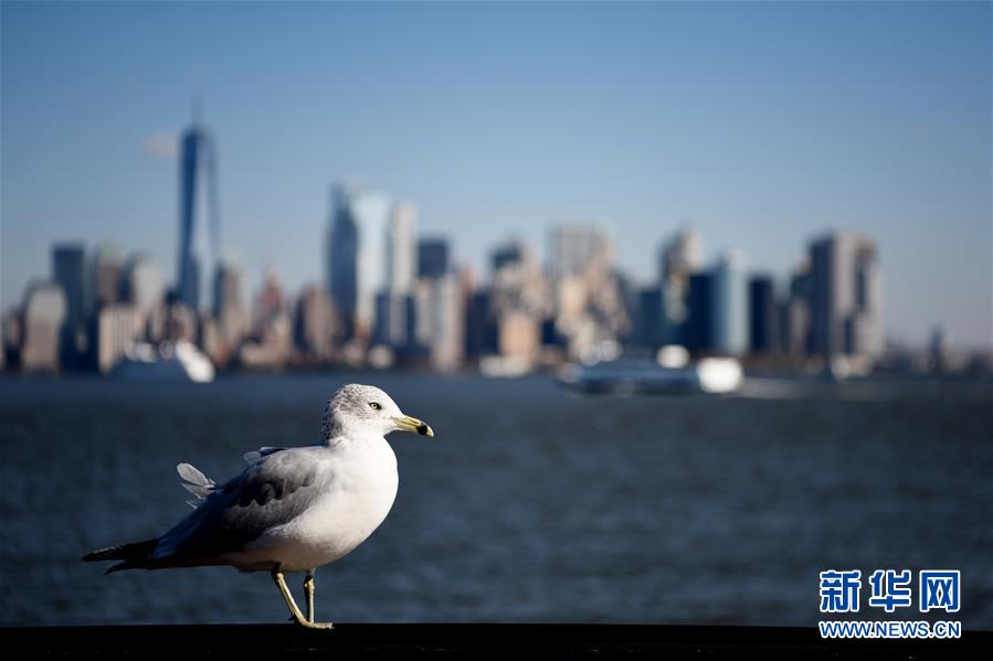 （国际）（3）纽约深秋