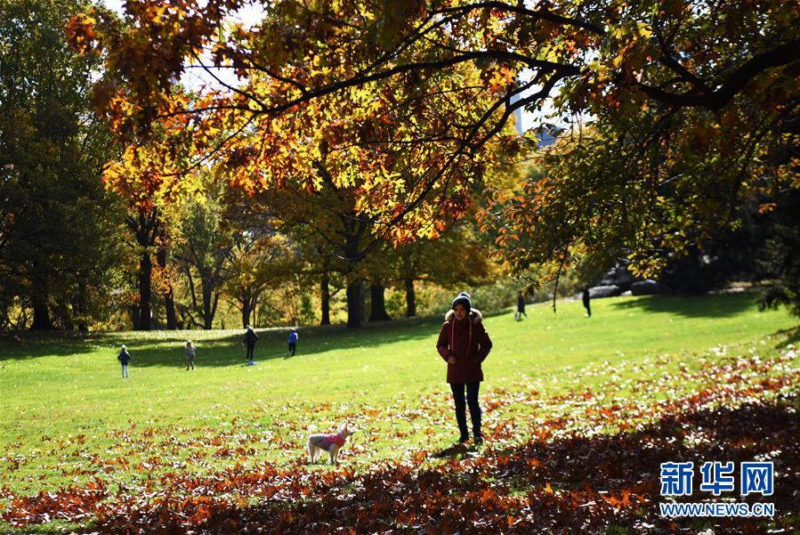 （国际）（5）纽约深秋