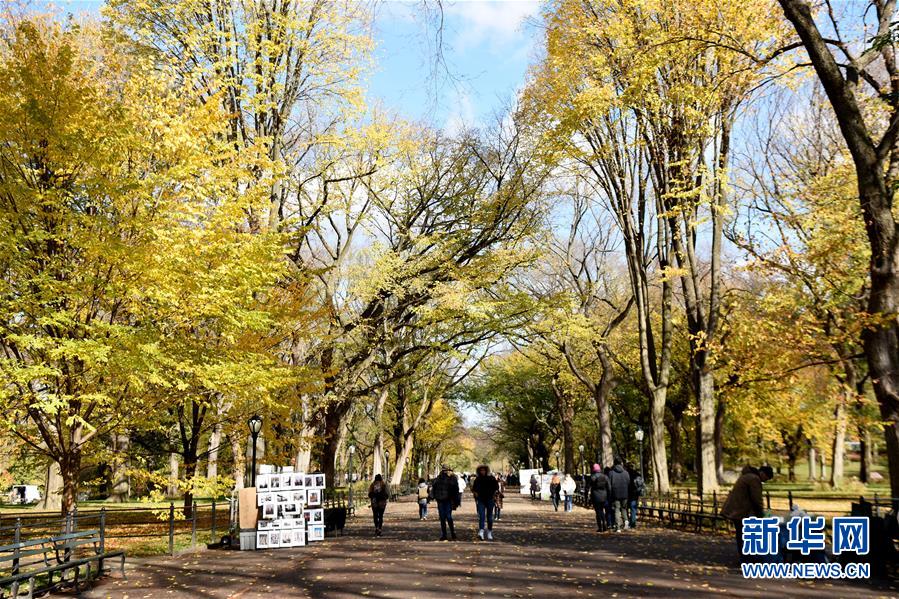 （国际）（6）纽约深秋