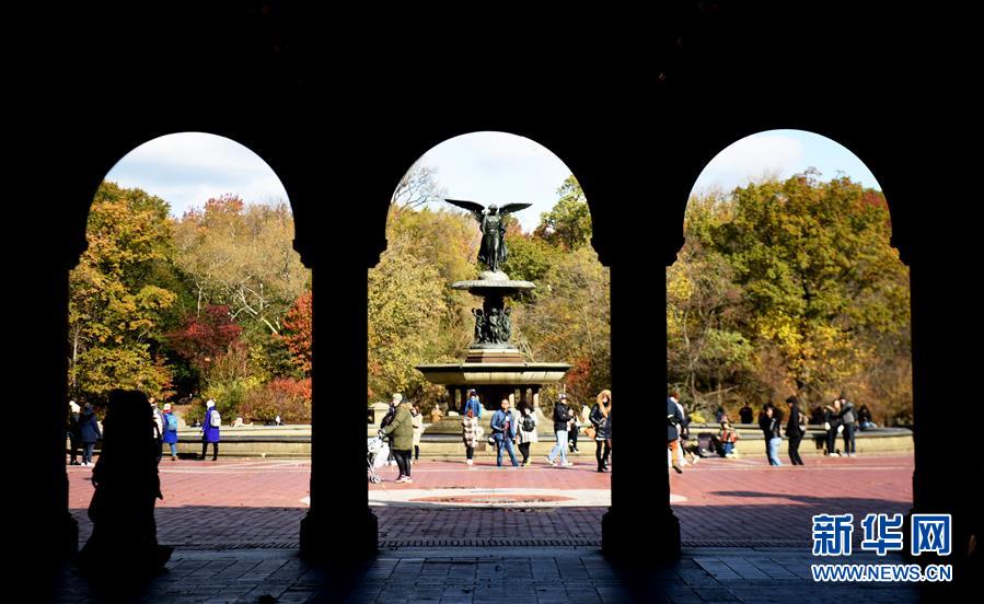 （国际）（7）纽约深秋