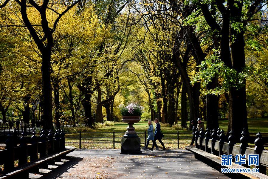 （国际）（8）纽约深秋