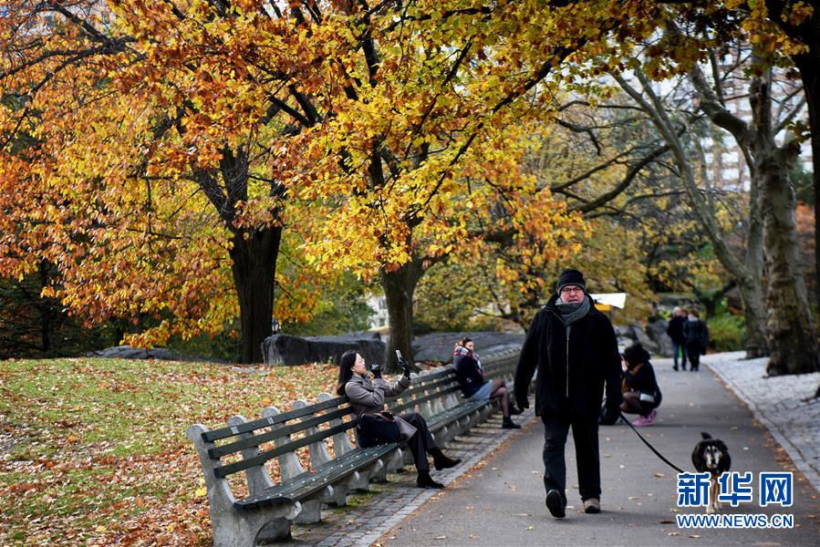 （国际）（9）纽约深秋