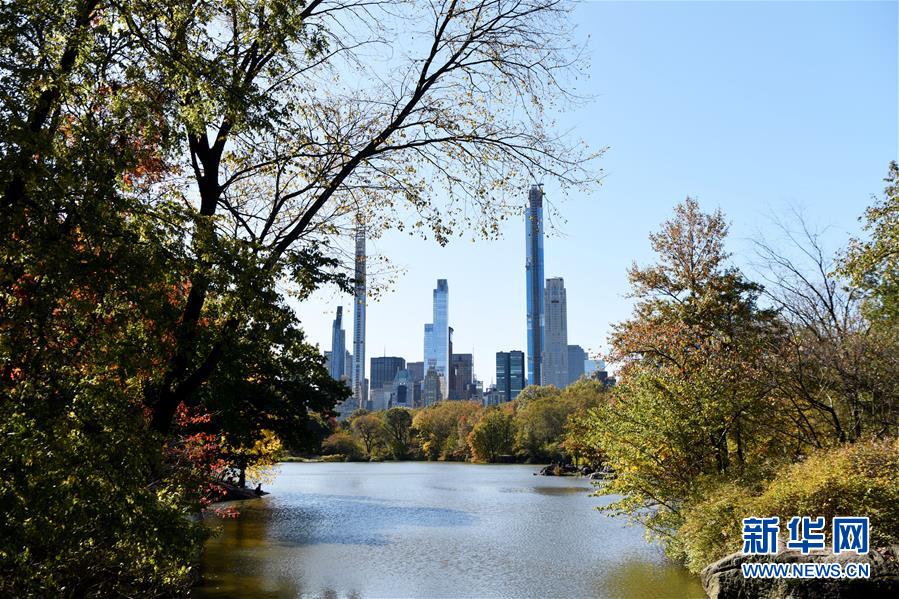 （国际）（10）纽约深秋