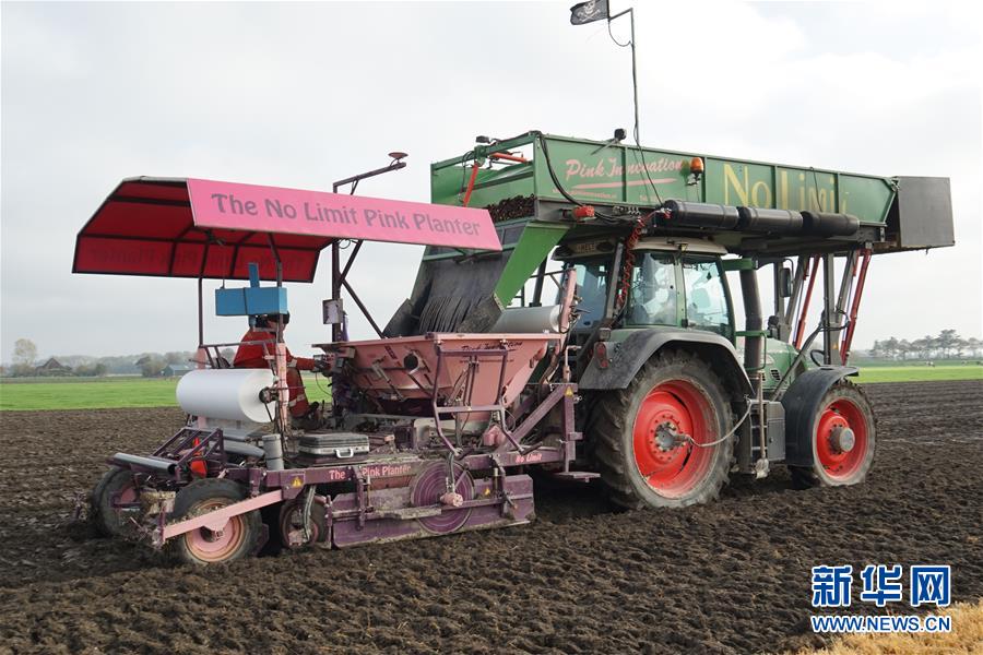 （图文互动）（1）&ldquo;空中丝路&rdquo;架金桥 荷兰郁金香绽放中国牡丹之乡