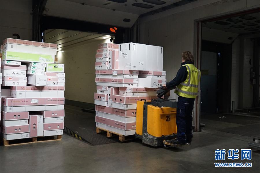 （图文互动）（7）&ldquo;空中丝路&rdquo;架金桥 荷兰郁金香绽放中国牡丹之乡