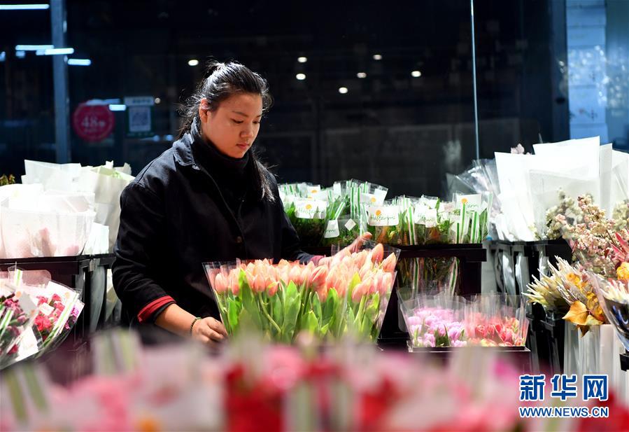 （图文互动）（11）&ldquo;空中丝路&rdquo;架金桥 荷兰郁金香绽放中国牡丹之乡