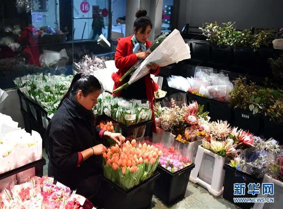 （图文互动）（12）&ldquo;空中丝路&rdquo;架金桥 荷兰郁金香绽放中国牡丹之乡