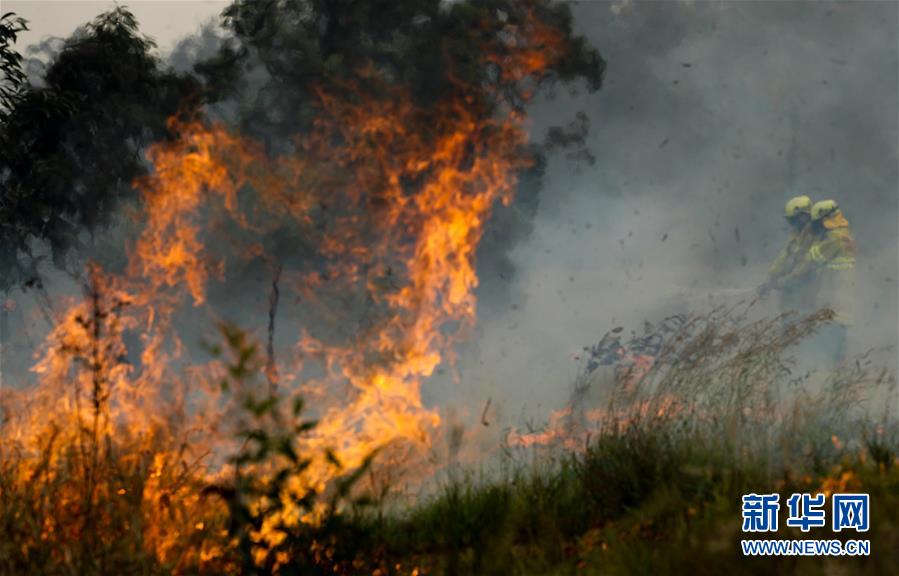 （国际）（2）澳新南威尔士州因林火进入紧急状态