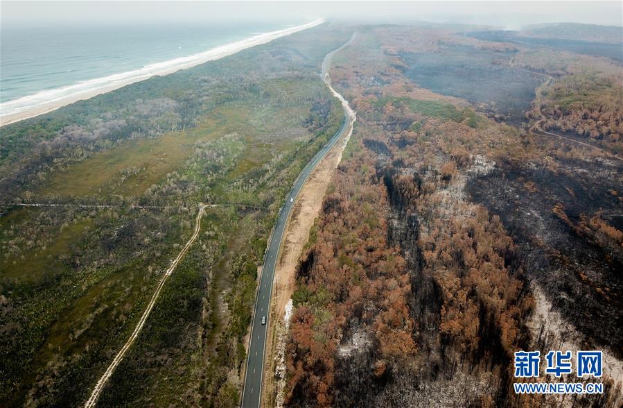 （国际）（4）澳新南威尔士州因林火进入紧急状态