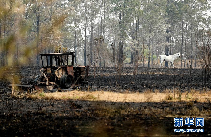 （国际）（5）澳新南威尔士州因林火进入紧急状态