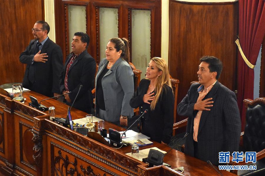 （國際）（1）阿涅斯宣布就任玻利維亞臨時總統