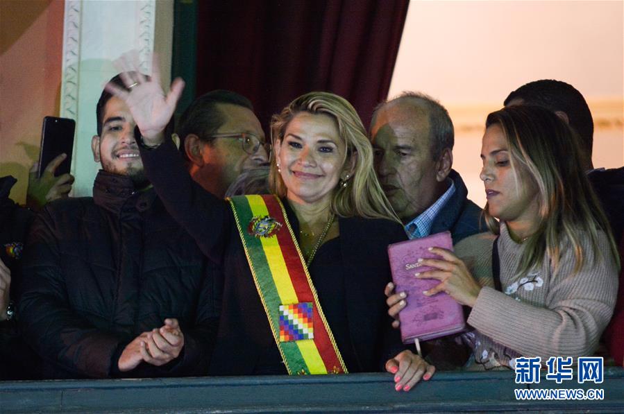 （國際）（2）阿涅斯宣布就任玻利維亞臨時總統