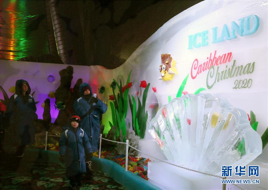 （国际）（3）中国冰雕师在美国打造“冰雪奇缘”